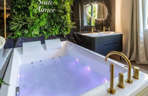Angouleme Apartment | La Suite Aimée - Espace relaxant avec balnéo