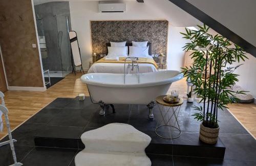 Montlucon Apartment | La Suite - Villa Valmy - Hypercentre - Gare SNCF