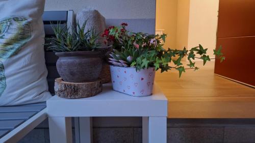 Iseo Bed & Breakfast | Pet-Friendly Retreat at La Tana del Geco, Rated 8.5/10