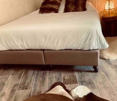 Bouvignes-sur-Meuse House | Pet-Friendly Retreat at La tanière Dinant, Rated 8.8/10