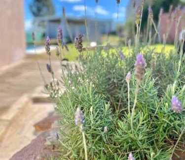 Tandil Apartment | Top-Rated La Terracita de Tandil: Oceanfront Oasis