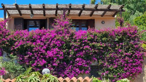 Villaggio Piras House | LA TERRAZZA SUL MARE: Oceanfront Cottage with Breathtaking Views