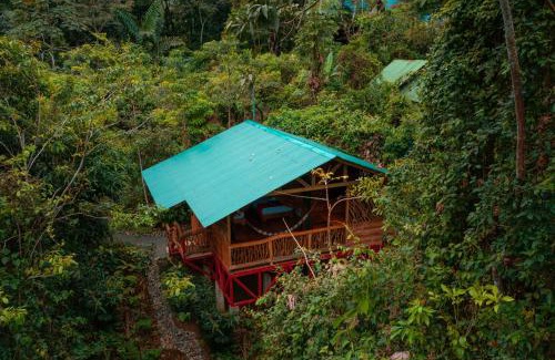 La Tigra Cabin | Experience Nature at La Tigra Rainforest Lodge - Rated 9/10