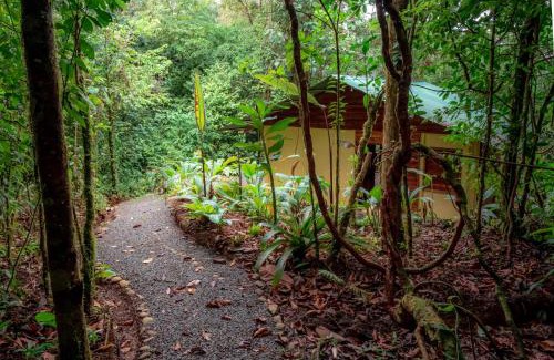 La Tigra Cabin | Experience Nature at La Tigra Rainforest Lodge - Rated 9/10