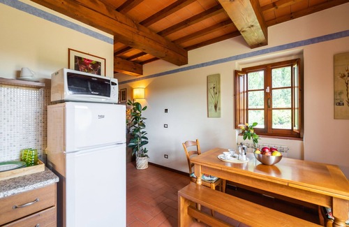 Greve in Chianti House | Relax at La Torre: Pet-Friendly with Pool & Spa Amenities