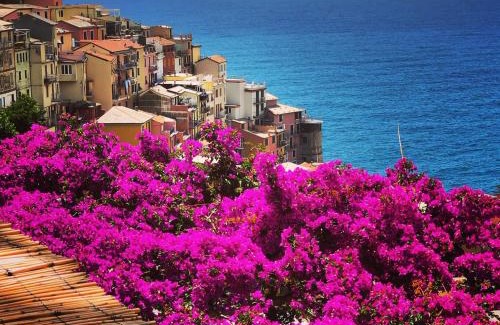 Manarola House | Oceanfront Getaway at La Torretta Lodge - Rated 9/10