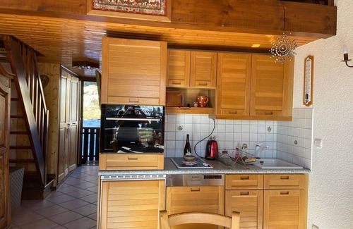 Manigod Apartment | Pet-Friendly La Tournette Apartment: Rated 9.6/10!