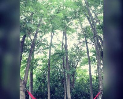 San Javier Cabin | Unforgettable Stays at La Trinidad with Pool & Child-Friendly Fun