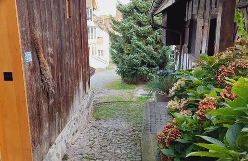 Horgen District House | Pet-Friendly Escape at La Trotte Ferien Haus Zürich