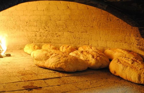 Selci Bed & Breakfast | Experience La Vecchia Quercia: Pet-Friendly Retreat with Hot Tub