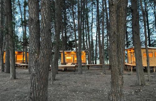 San Rafael Ski Chalet | Guest Rated 10/10: La Venecia Cabañas with Pool & Pets