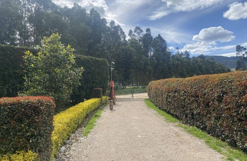 Zipaquira House | Perfect Family Retreat: La Verbena Colonial Getaway
