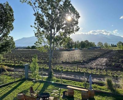 San Carlos Department Cabin | Guest Rated: La Viñita Wine Lodge with Pet-Friendly Options