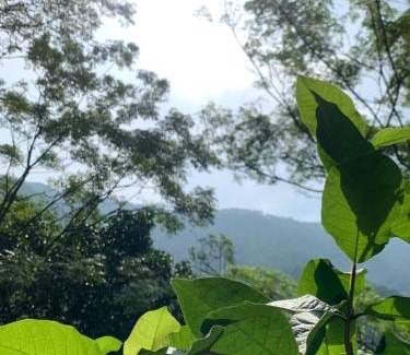 Soc Son Other | La Vie Est Belle - Wellness, Yoga and Meditation