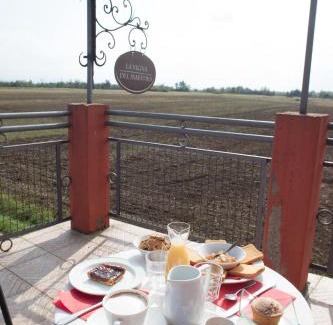 Bene Vagienna House | Exceptional La Vigna Del Maestro: Pet-Friendly Retreat