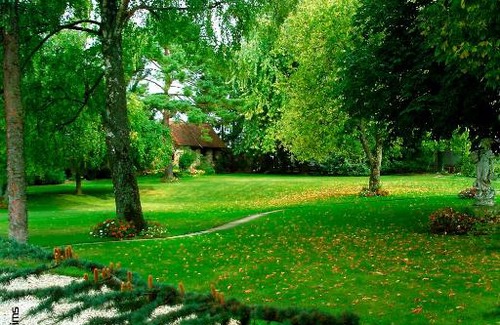 Ludes Bed & Breakfast | Kid-Friendly Getaway at La Villa Champagne Ployez-Jacquemart