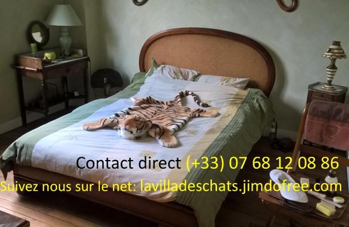 Andresy Bed & Breakfast | Discover La Villa des Chats: Guest Rated 9.1 with Dining