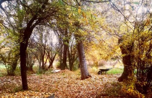 San Lorenzo de El Escorial Cabin | Pet-Friendly Retreat at La Yurta de Gaia - Rated 7.8/10