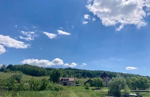 Podoleni House | Discover Lacul de Argint: Oceanfront & Pet-Friendly Retreat