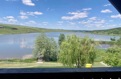Podoleni House | Discover Lacul de Argint: Oceanfront & Pet-Friendly Retreat