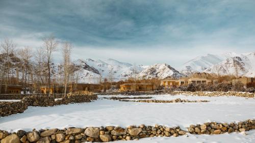 Leh Resort | Eco-Friendly Ladakh Resort with Family and Pet Amenities