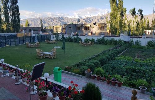 Leh Hotel | Discover Ladakh Himalayan Retreat with Family-Friendly Amenities