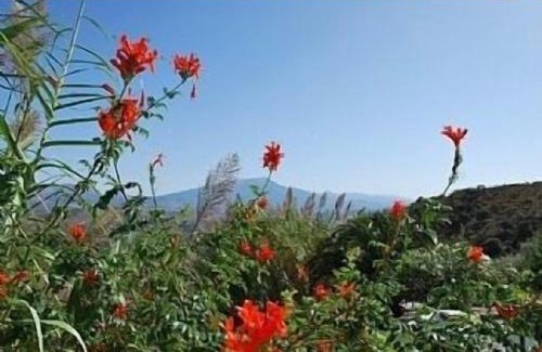 Colmenar House | Discover Lagar El Buho: Pet-Friendly Paradise Awaits