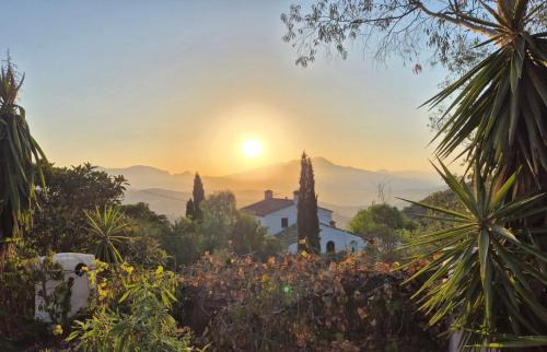 Colmenar House | Discover Lagar El Buho: Pet-Friendly Paradise Awaits