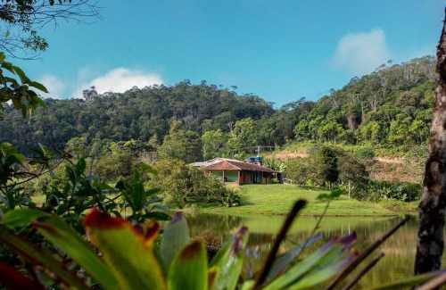 Tapirai Hotel | Experience Lago 7 Cores: Pet-Friendly with Pool & Dining