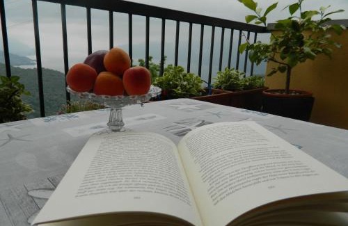 Vignone Apartment | Scenic Lago Maggiore Retreat with Ocean View in Vignone