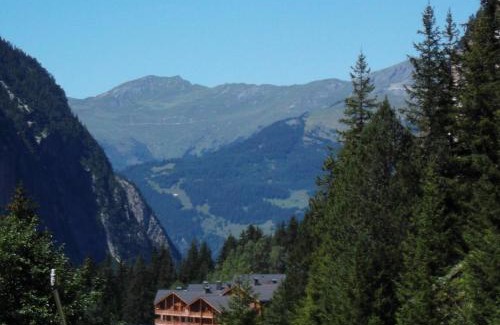 Pralognan-la-Vanoise Resort | Pet-Friendly Retreat at Lagrange Vacances Les Hauts de la Vanoise