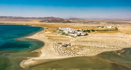Hamata and Berenice Resort | Experience Lahami Bay Resort: Oceanfront Bliss Awaits