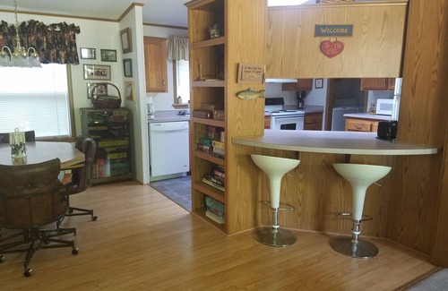 Alexandria Cabin | Explore Lake Carlos Cabin: 3 Beds, Pet Friendly & Pool