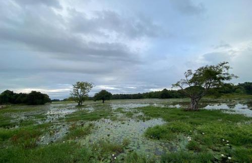 Dambulla House | Pet-Friendly Lake Edge Dambulla - Guest Rated 10/10