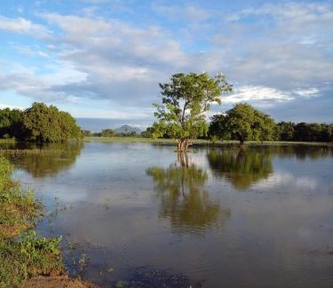 Dambulla House | Pet-Friendly Lake Edge Dambulla - Guest Rated 10/10