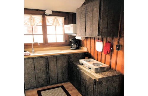 West Branch Cabin | Lake Front Studio Cabin 4 - Pet Friendly with Spa Access