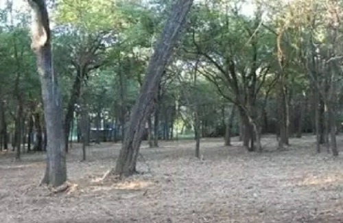 Little Elm RV Rental | Pet-Friendly Lakefront Retreat for Family Getaways