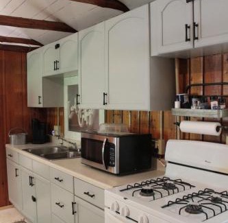 Greenbush House | Lake Huron Lady of the Lake Cabin w HotTub, Sauna