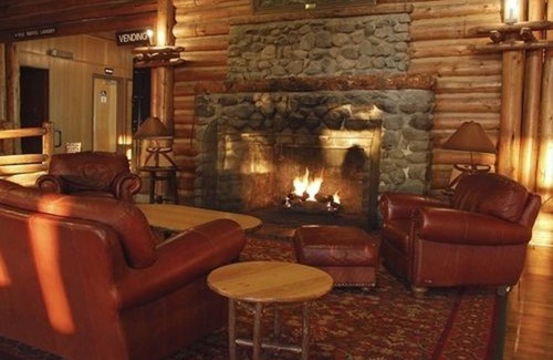 Lake Hotel | Cozy Lake Lodge Cabins - Experience Nature Inside the Park