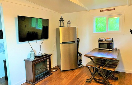 Matlock Cabin | Experience Lake Nahwatzel Resort: Pet-Friendly Cabin Retreat