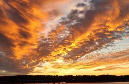 Henderson Hotel | Experience Lake Norfork Resort: Pet-Friendly Getaway