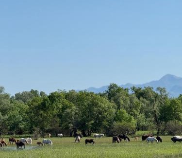 Dodosi House | Discover Lake Skadar Paradise: Private Beach & Ocean View