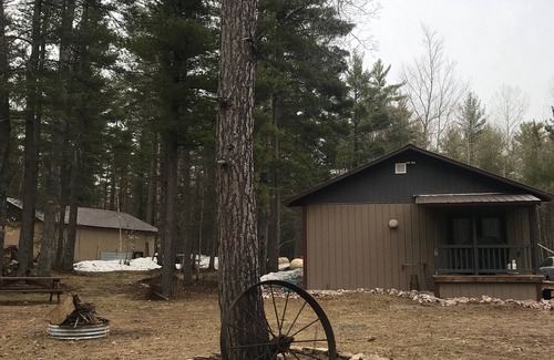 Wetmore Cottage | Pet-Friendly Lake Tahoe UP - Tin Shack with Pool & Breakfast