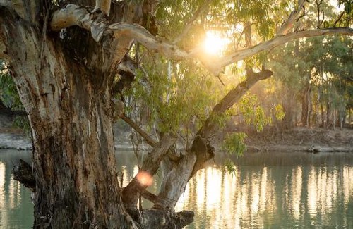 Rufus House | Lake Victoria Lodge, Rufus