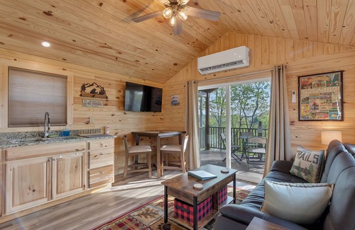 White County Cabin | Pet-Friendly Lake View Adventure Cabin at Bear Bluff Retreat
