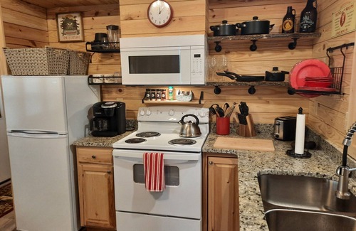 White County Cabin | Pet-Friendly Lake View Adventure Cabin at Bear Bluff Retreat
