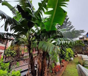 Gureghar House | Scenic Lake View Hotel with Breakfast & Family-Friendly Perks