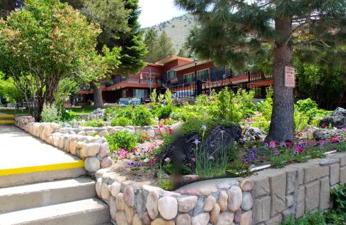 Lee Vining Cabin | Scenic Lake View Lodge with Family-Friendly Amenities