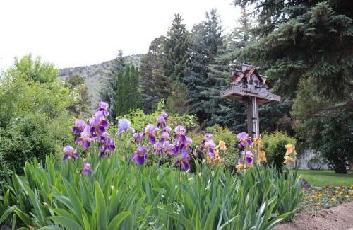 Lee Vining Cabin | Scenic Lake View Lodge with Family-Friendly Amenities