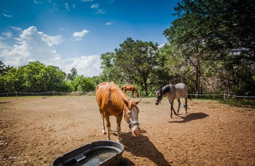 Lake Whitney Resort | Comfortable Lake Whitney Camping Resort Cabin with Hot Tub